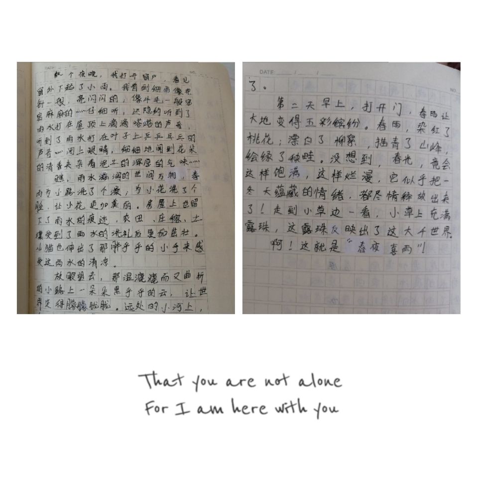 QQ圖片20190523211717.jpg